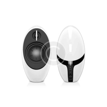 E1100 Predator Speakers